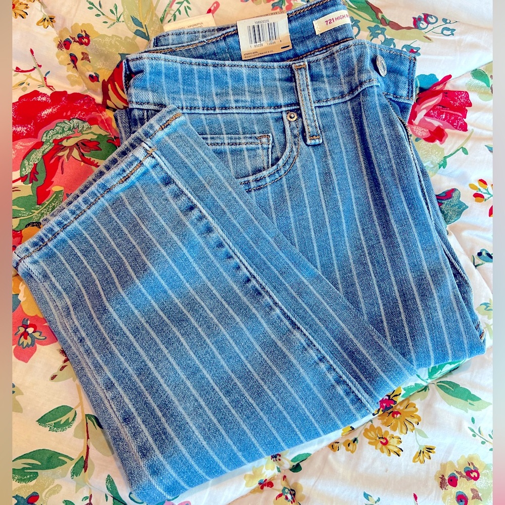Levi High Rise Skinny Striped Jean size 29